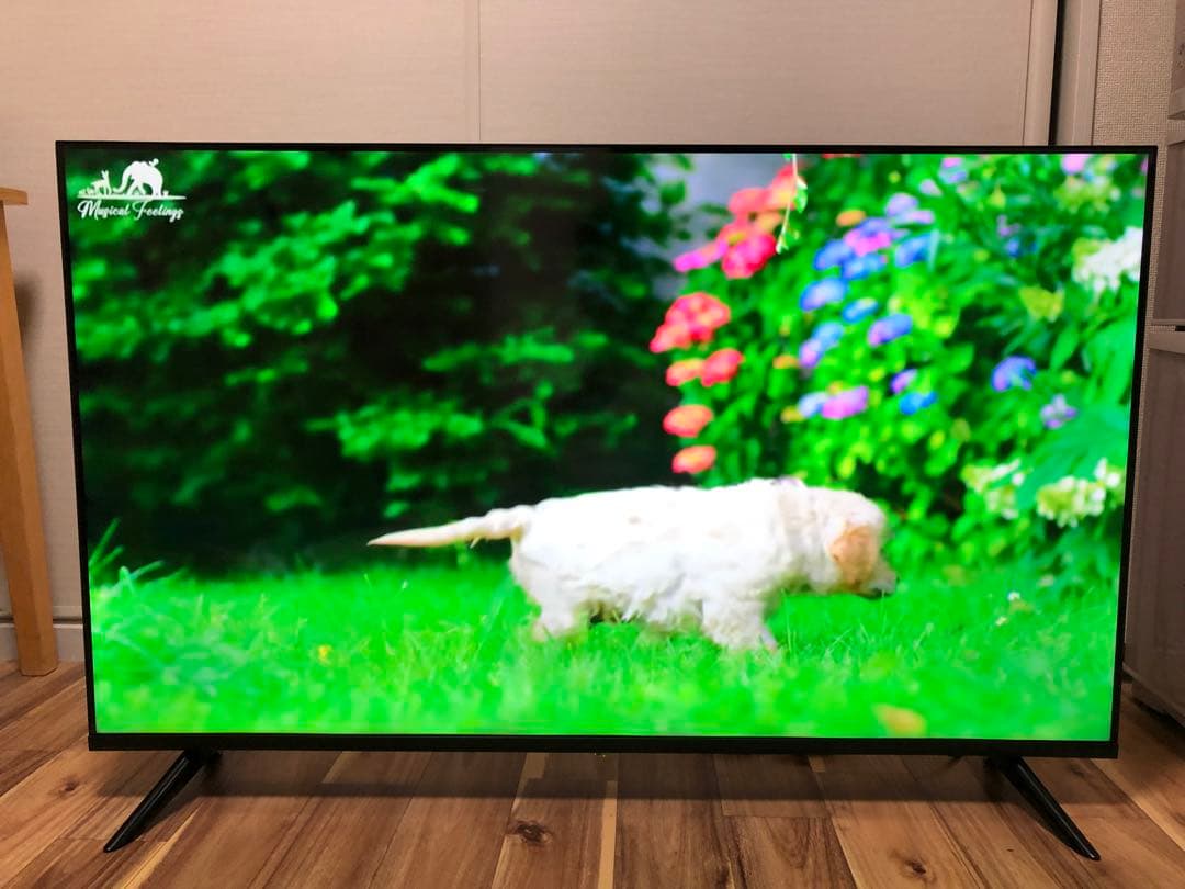 2022年製！50V型 4Kチューナーレステレビ Android TV HDR○