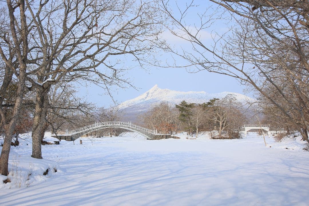 TAMRON AF 28-300mm F3.5-6.3 LD（EFマウント）