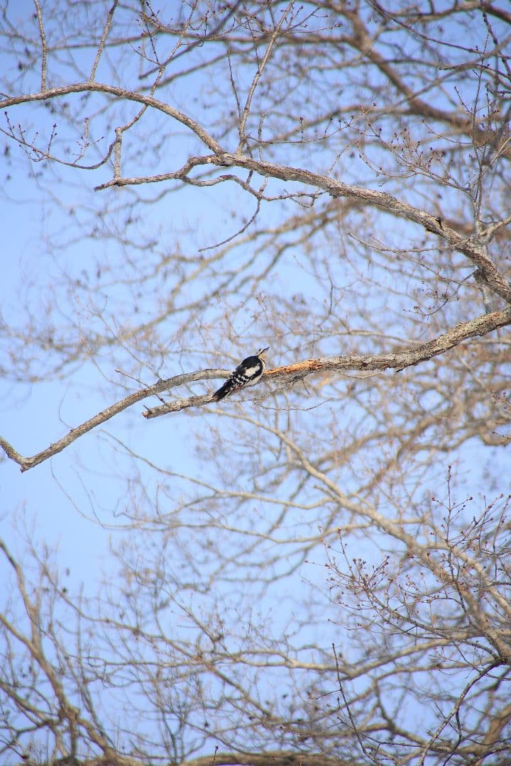 TAMRON AF 28-300mm F3.5-6.3 LD（EFマウント）