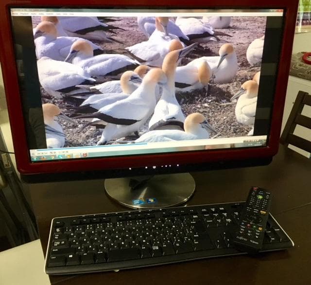 【富士通】地デジ付パソコン