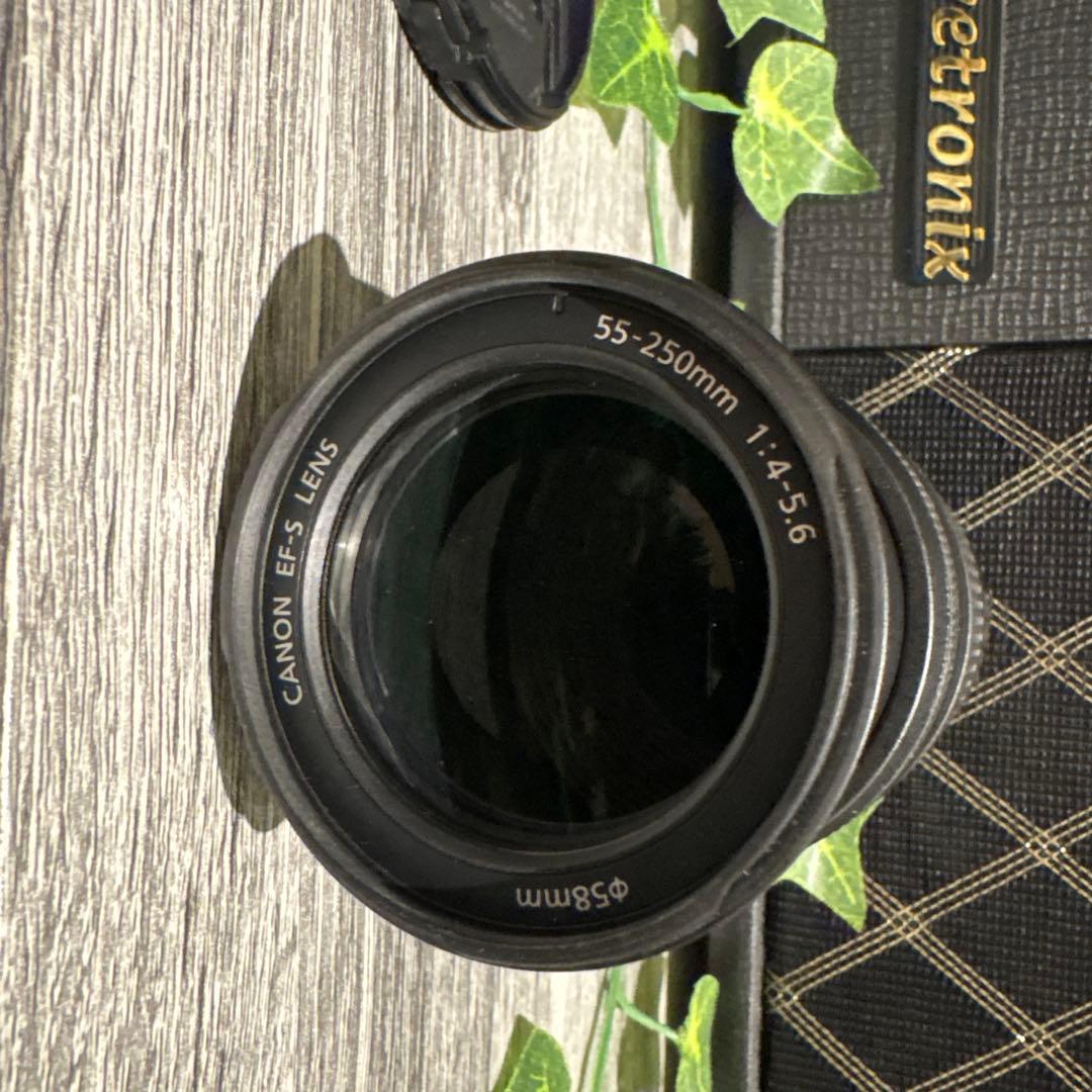 [最終値下げ]Canon EFSマウント 55mm-250mm 一眼レフ
