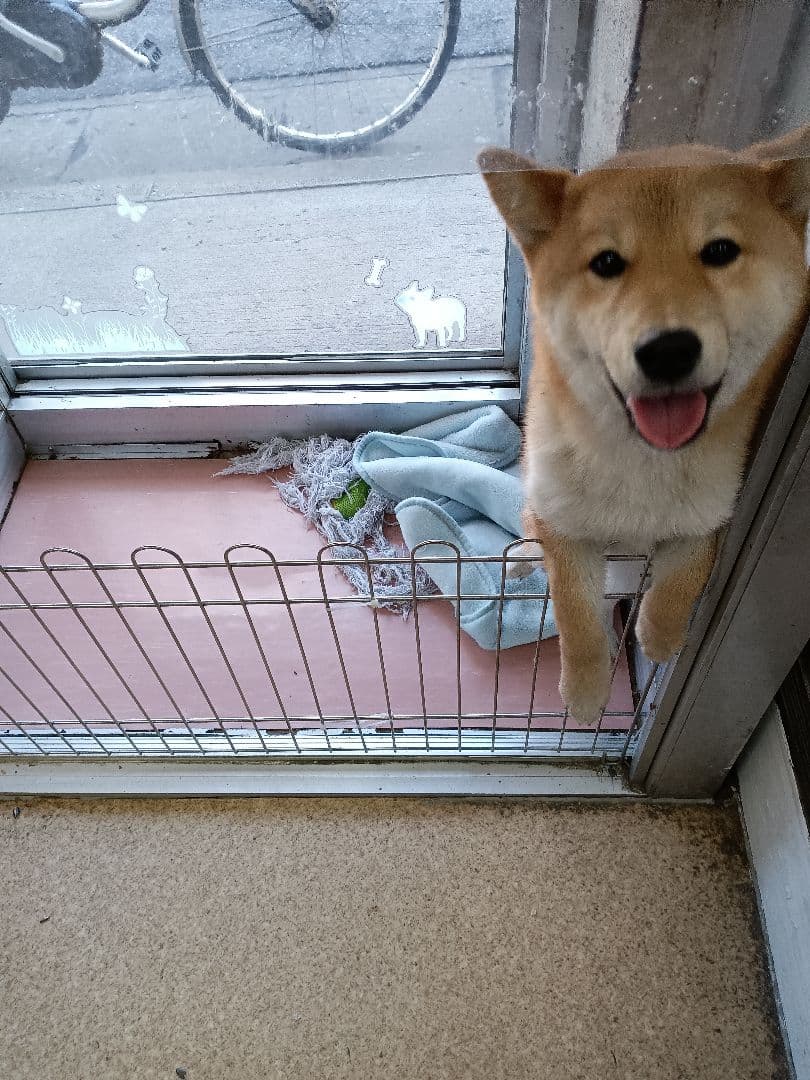 スピーカー・ウーファー YAMAHA YRS-1000