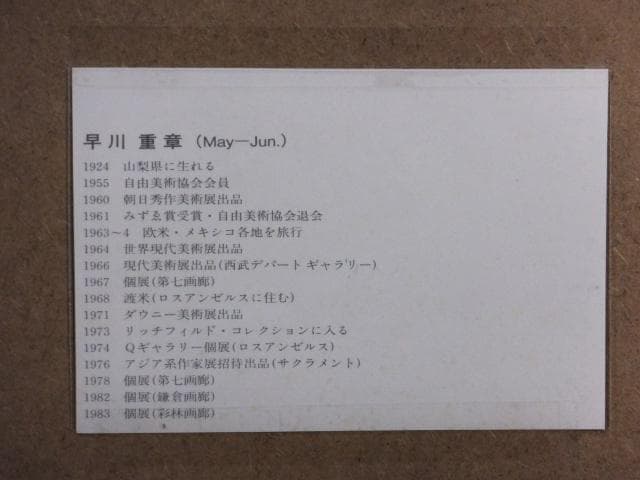 早川重章『Two-color surfaces and lines』0611F