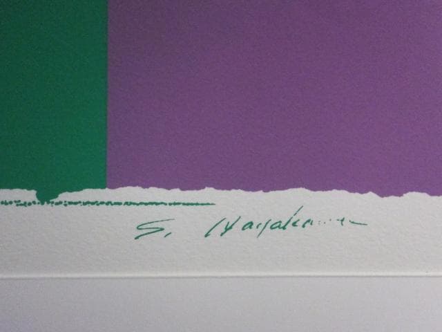 早川重章『Two-color surfaces and lines』0611F