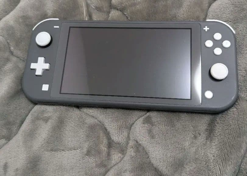 Nintendo Switch Lite グレー 本体 - メルカリ