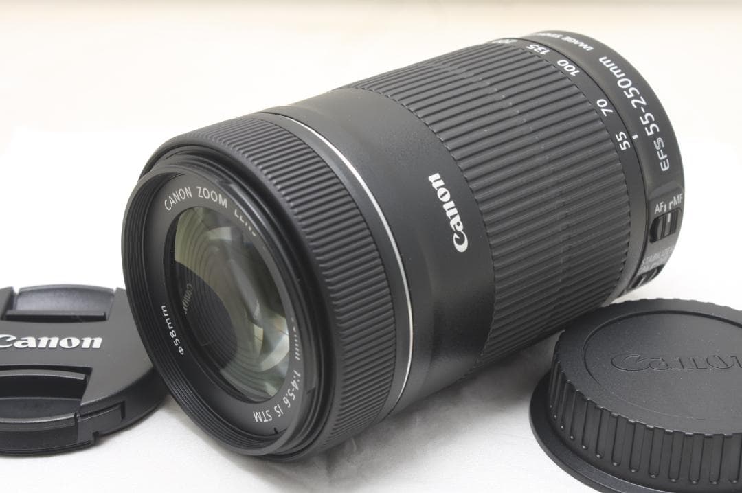 キヤノン EF-S 55-250mm F4-5.6 IS STM 3023 Canon EF-S 55-250mm f/4-5.6 IS STM Telephoto Zoom Lens with