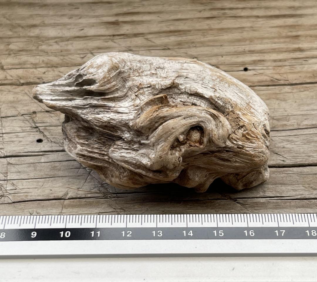 四万十川の流木　お題 ： かえる il_340x270.4195347540_16hd.jpg