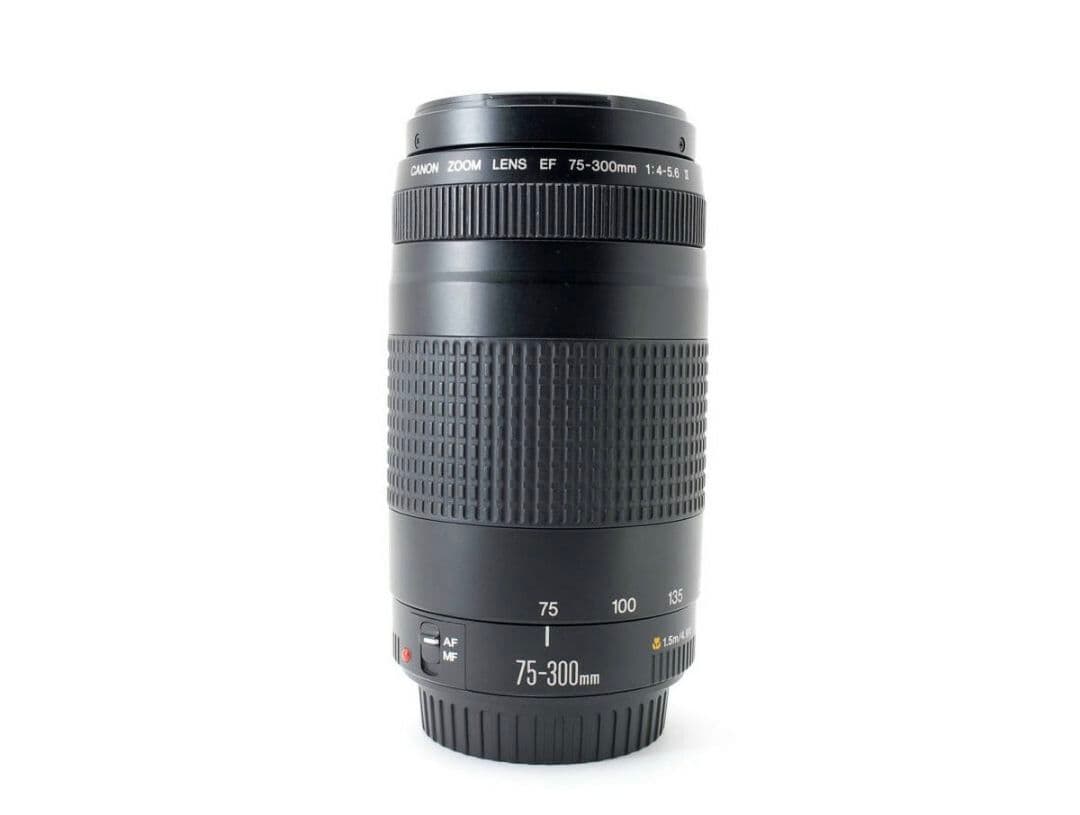 1月27日限定特価♪【超望遠レンズ】Canon EF 75-300mm Ⅱ