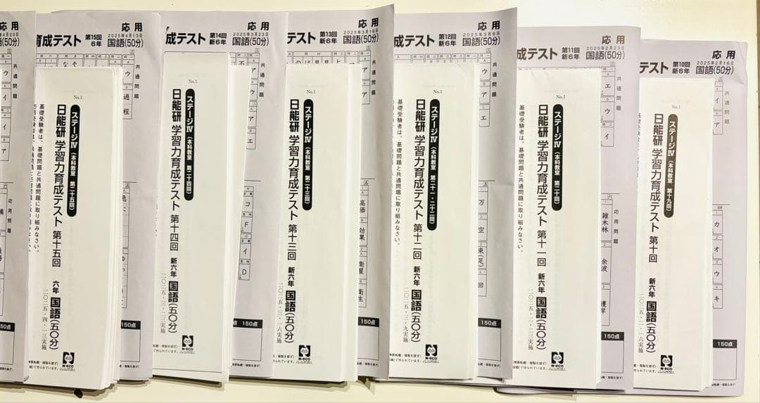 新品2025年度日能研6年生前期学習力育成テスト全17回分 新品2025