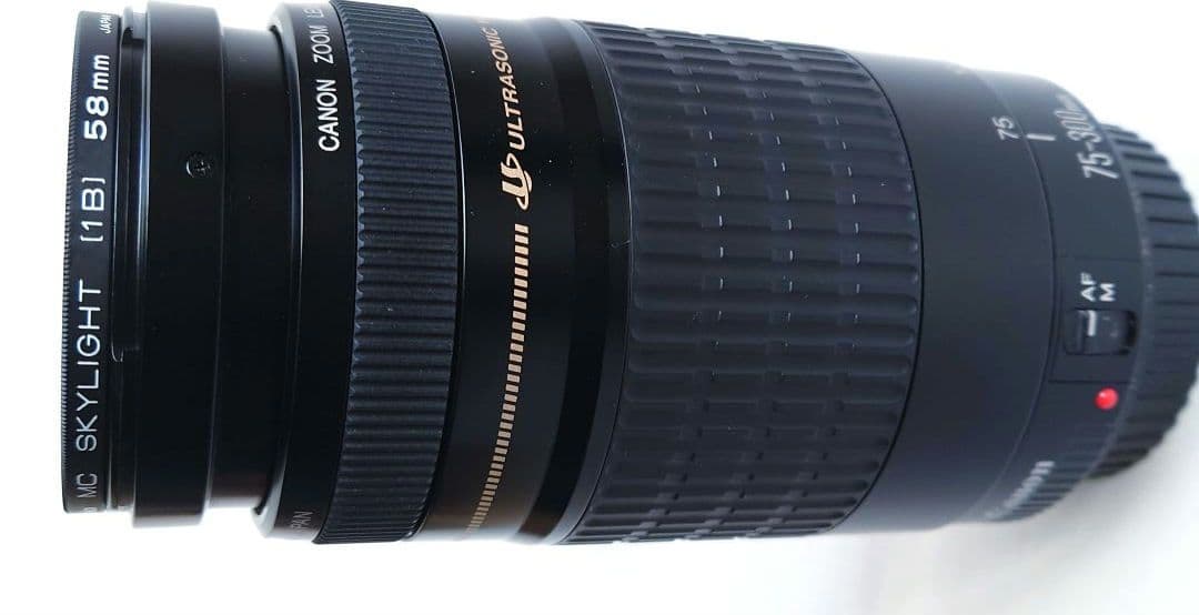 レンズ(ズーム) Canon EF 75-300mm 1:4-5.6 ULTRASONIC