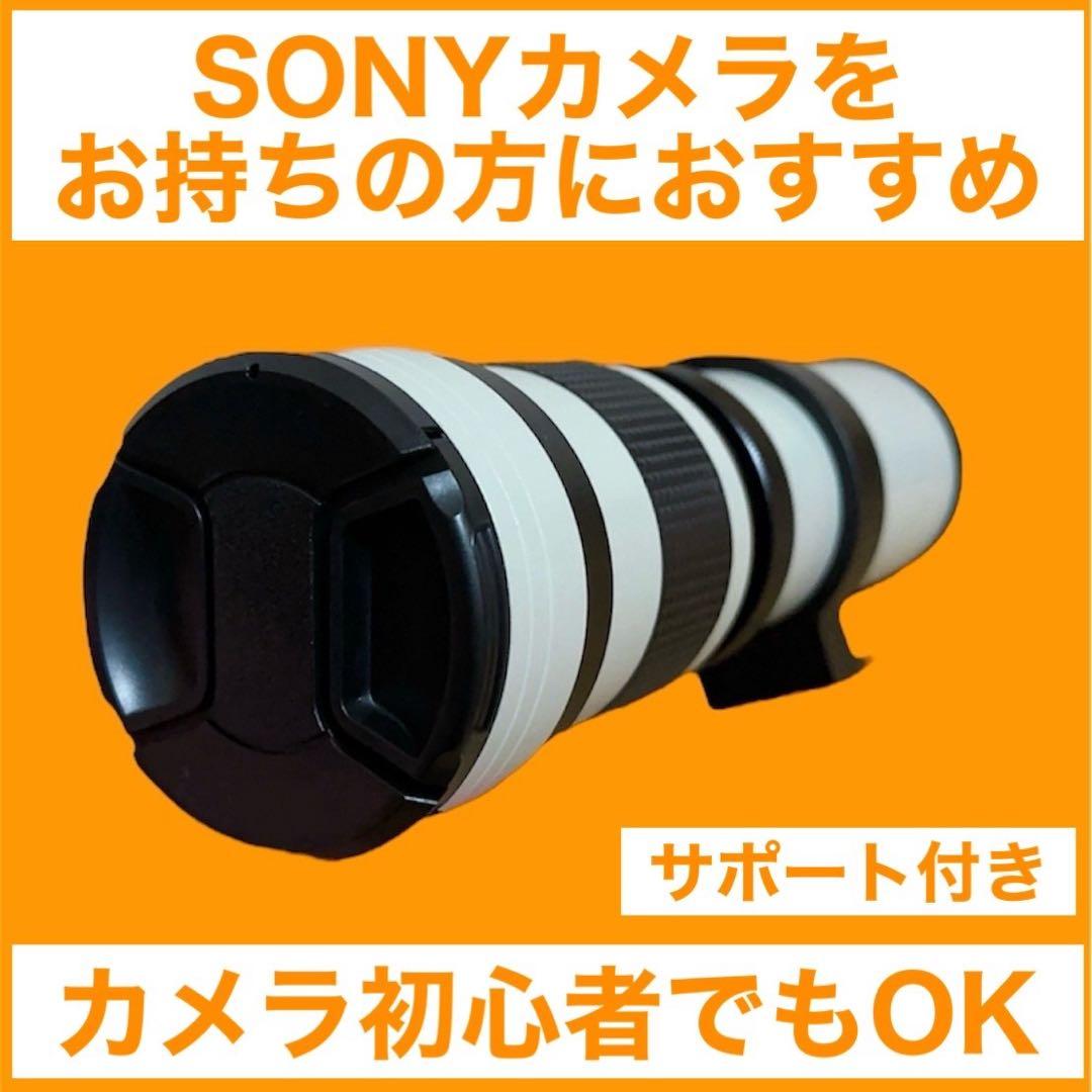 サポート付き！SONYカメラをお持ちの方におすすめ！便利なズームレンズ！袋付き！ α58 特長 : おすすめレンズ＆アクセサリー | デジタル一眼カメラα
