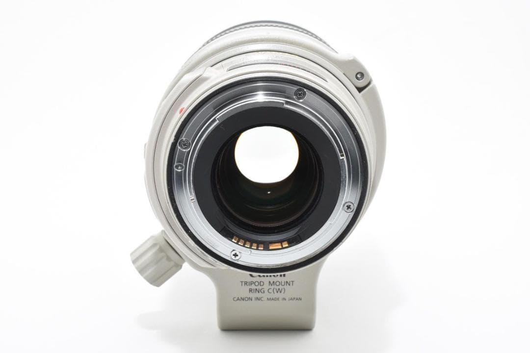 Canon EF 28-300mm F3.5-5.6 L IS USM レンズ