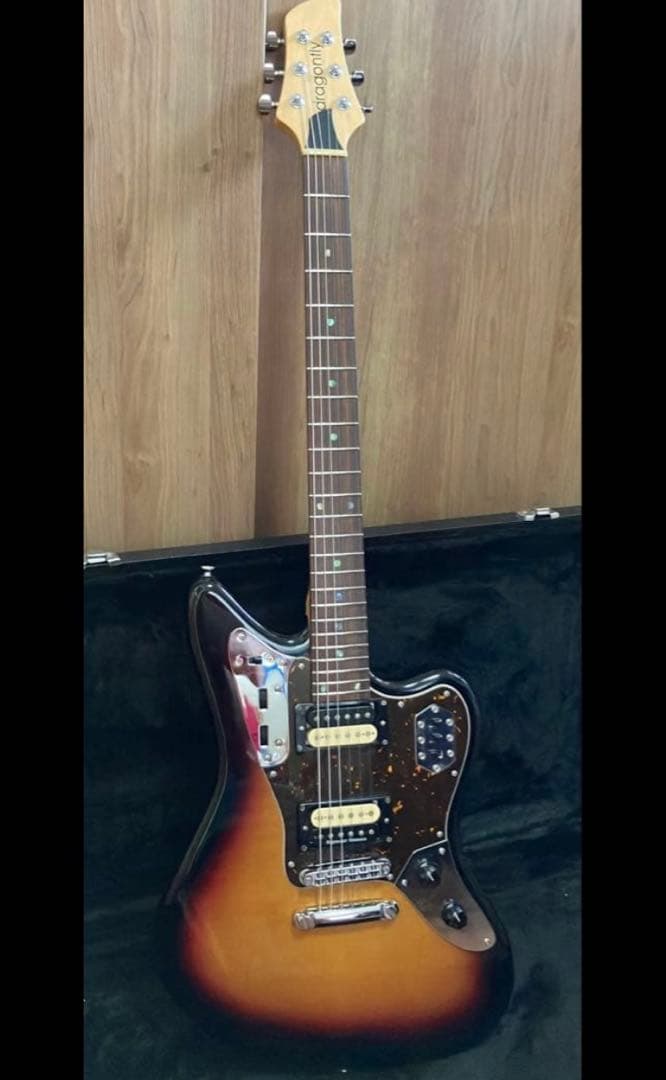 ぽーさん様　dragonfly jaguar666 最終出品　1/25まで