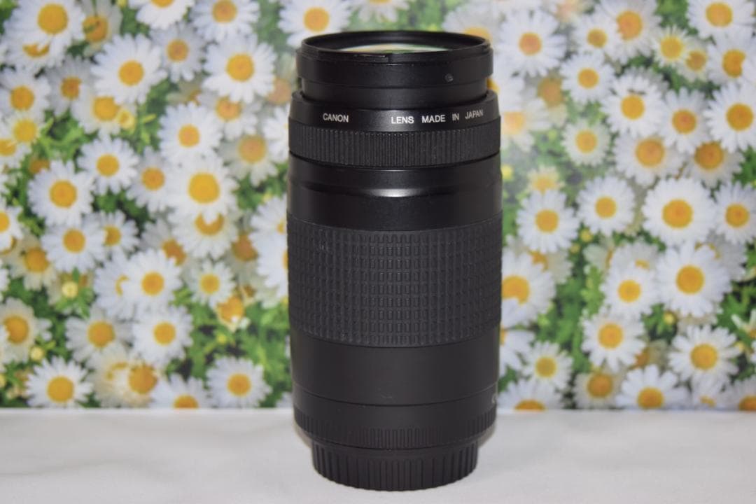 ❤美品❤望遠レンズ❤美品❤キャノン❤Canon EF 75-300mm