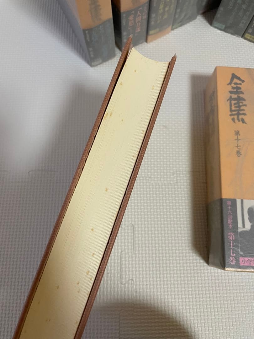 小学館 武者小路実篤 全集 全18巻