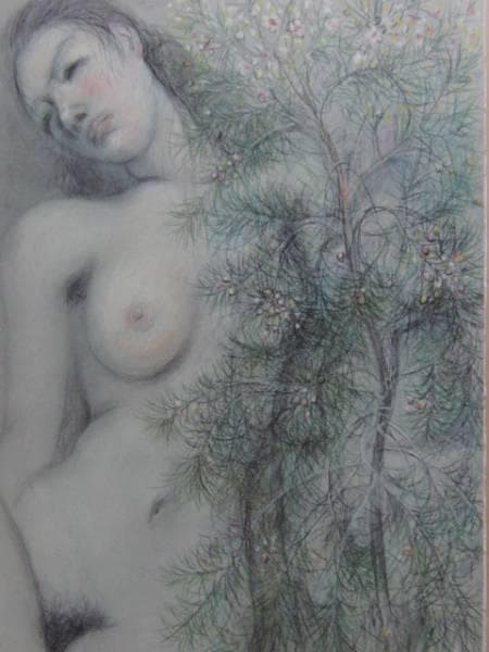 古沢 岩美、ワックス、希少画集画、新品額装付