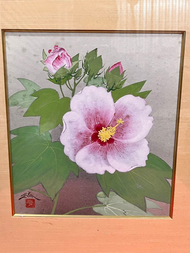 平野勝 日本画 夏 フヨウの絵 額付き - メルカリ