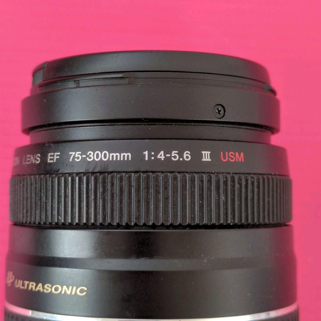 極美品⭐️Canon キヤノン EF 75-300mm 4-5.6 Ⅲ USM
