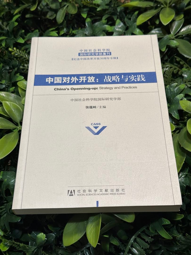 中国対外開放：戦略と実践／国際研究 CASS 国際政治 中国の政治戦 －「戦わずして勝とう」とする国への対抗戦略 | ケリー