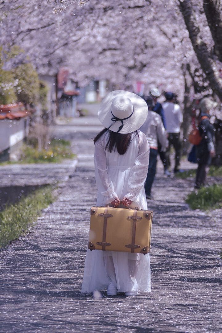 SIGMA EX 70-200mm F2.8 HSM ズームレンズ