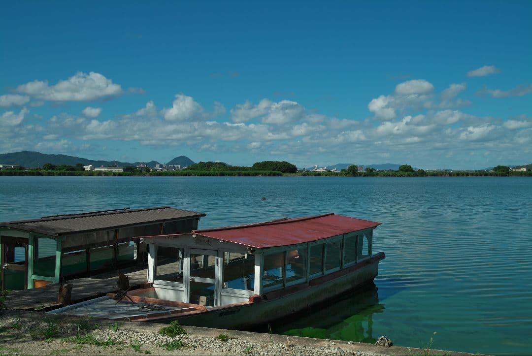 【最終価格】Tokina SD 16-50mm F2.8 AT-X Pro