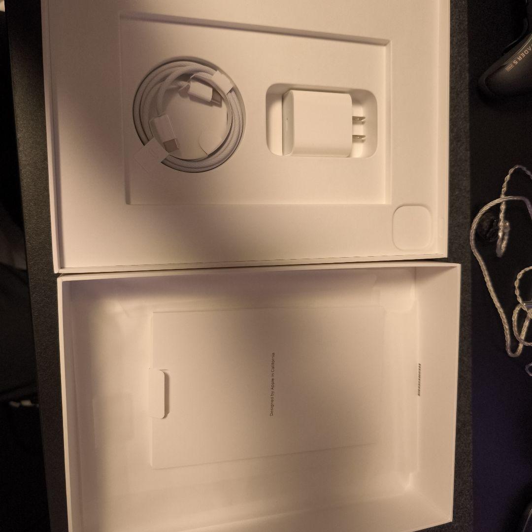 iPad Pro 11インチ256GB セルラーモデル　スペースグレイ 箱付き