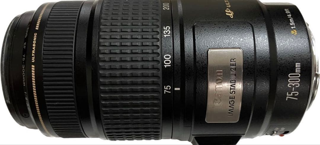 デジタル一眼レフカメラ/手ぶれ補正レンズ/Canon EF 75-300㎜ IS