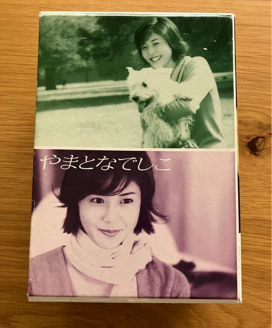 やまとなでしこ ドラマDVDボックス /松嶋菜々子 矢田亜希子 堤真一