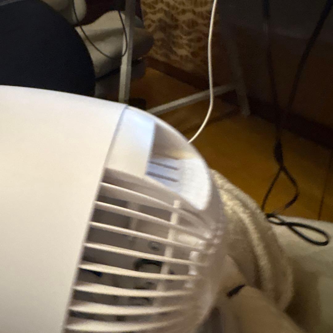 卓上扇風機 ホワイト 風量調整可能