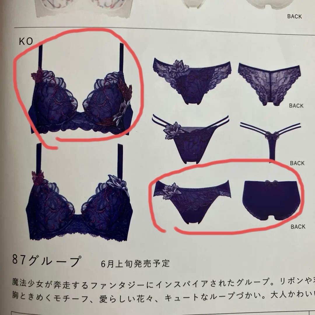 専用品 サルート E75 87グループ VIVA LINEブラ 上下セット - メルカリ