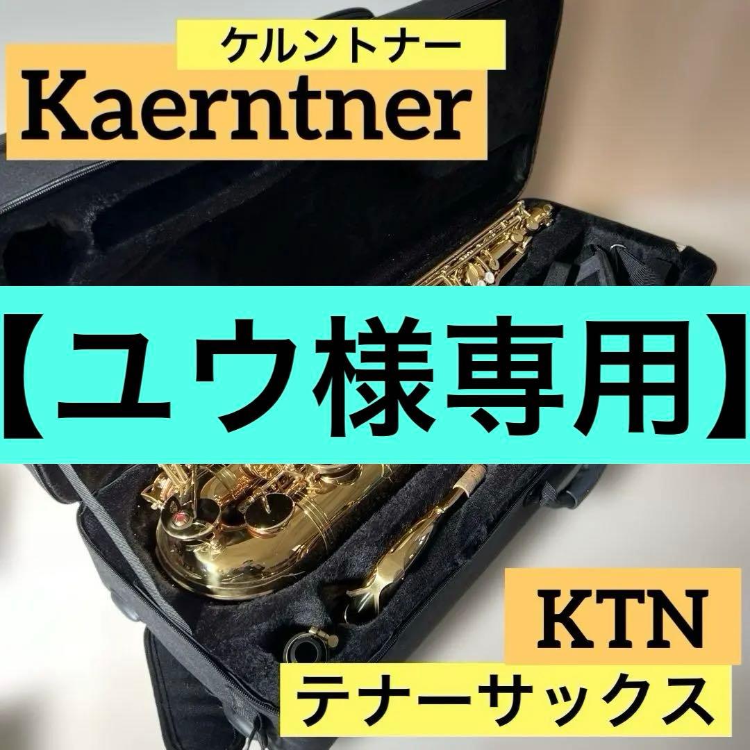 【美品】ケルントナー テナーサックス KTM 管楽器 Kaerntner 初心者 Kaerntner(ケルントナー) テナーサックス セット KTN 入門セット