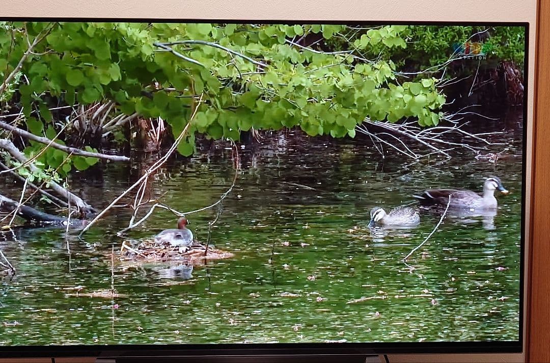 K　Taページ s-l1200.jpg