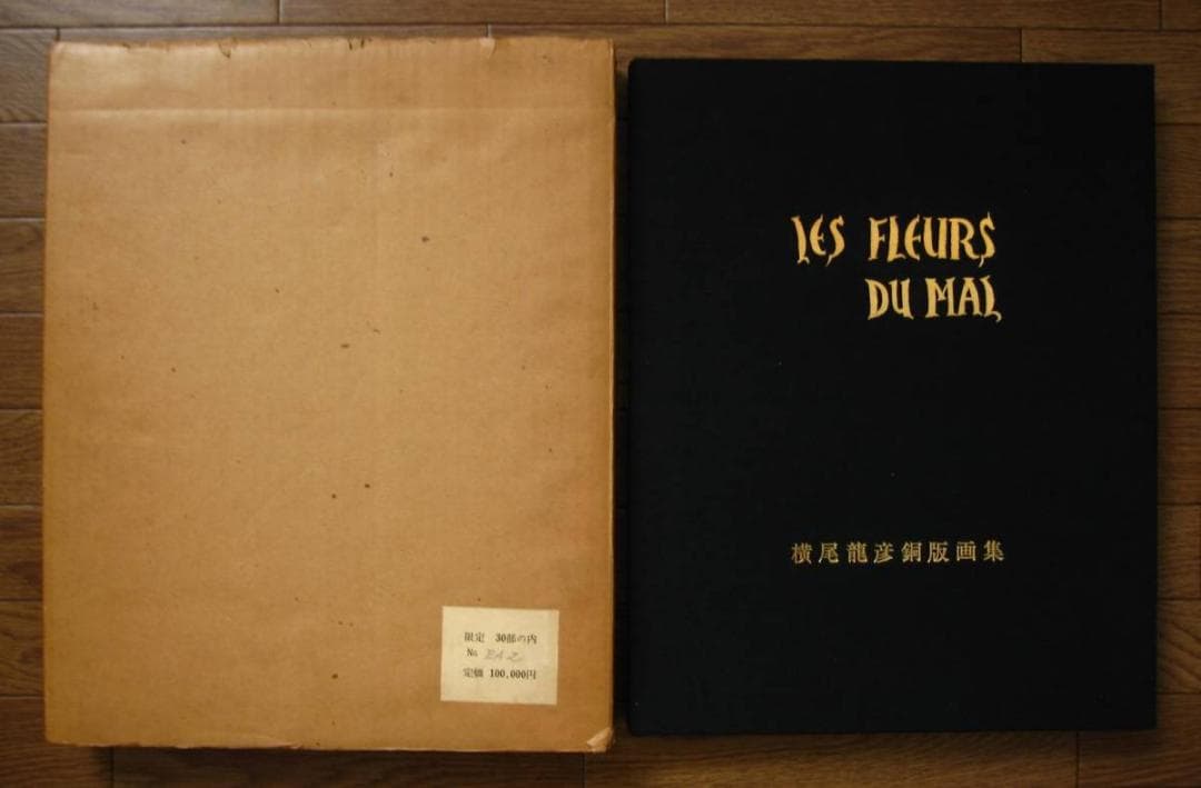 横尾龍彦 銅版画集 悪の華　限定20部　オリジナルエッチング 10葉　E.A.版 横尾龍彦 銅版画集 悪の華 限定20部 オリジナルエッチング 10葉 E.A.版