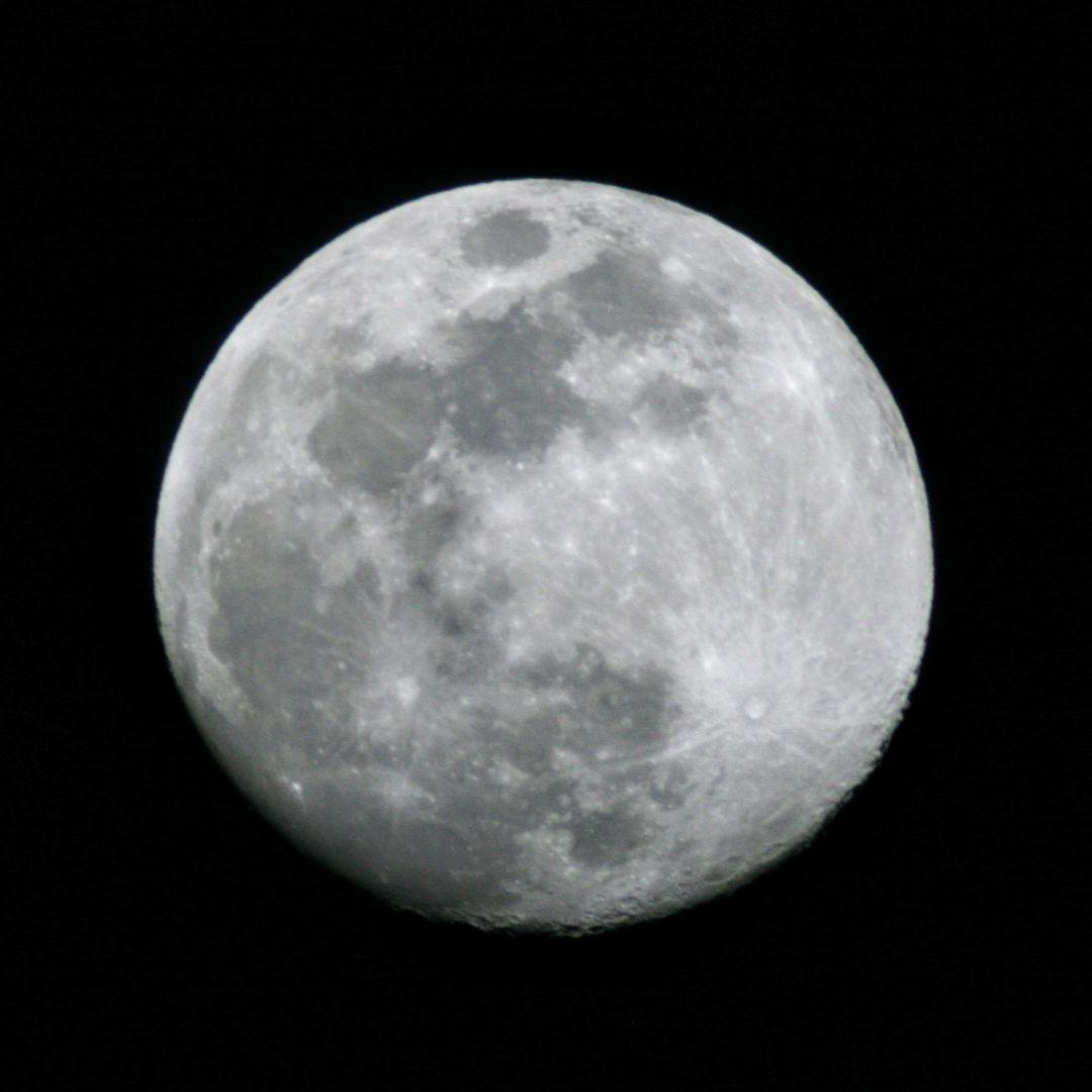 Canon EOS デジタル一眼レフカメラ 800mmレンズつき　撮影キット