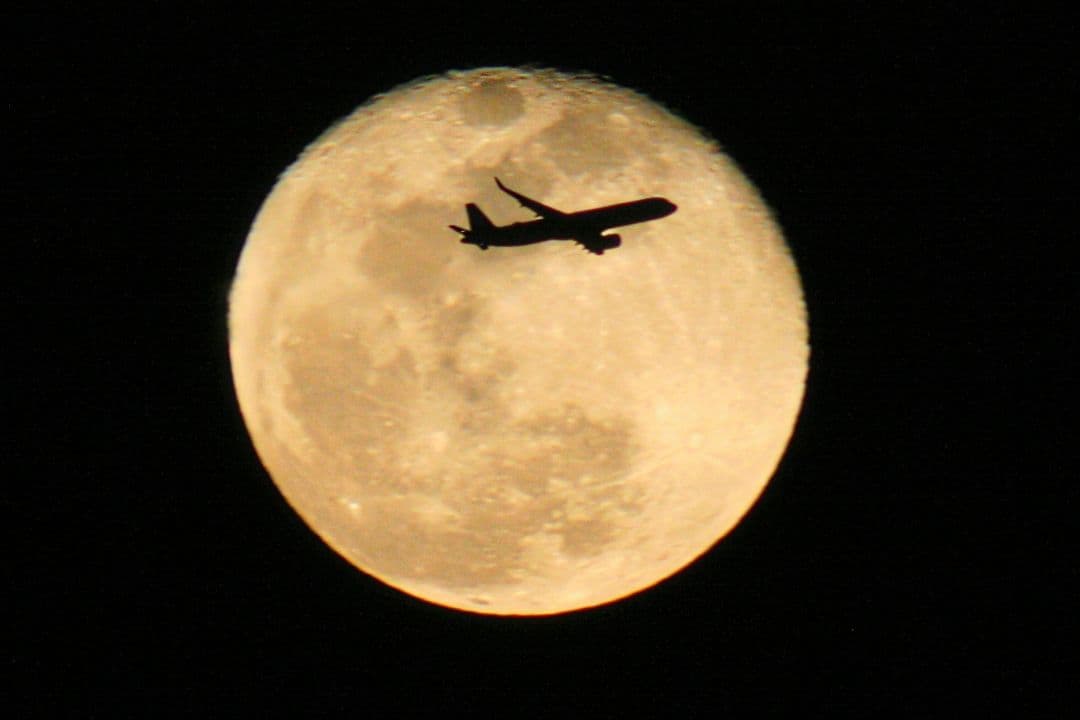 Canon EOS デジタル一眼レフカメラ 800mmレンズつき　撮影キット