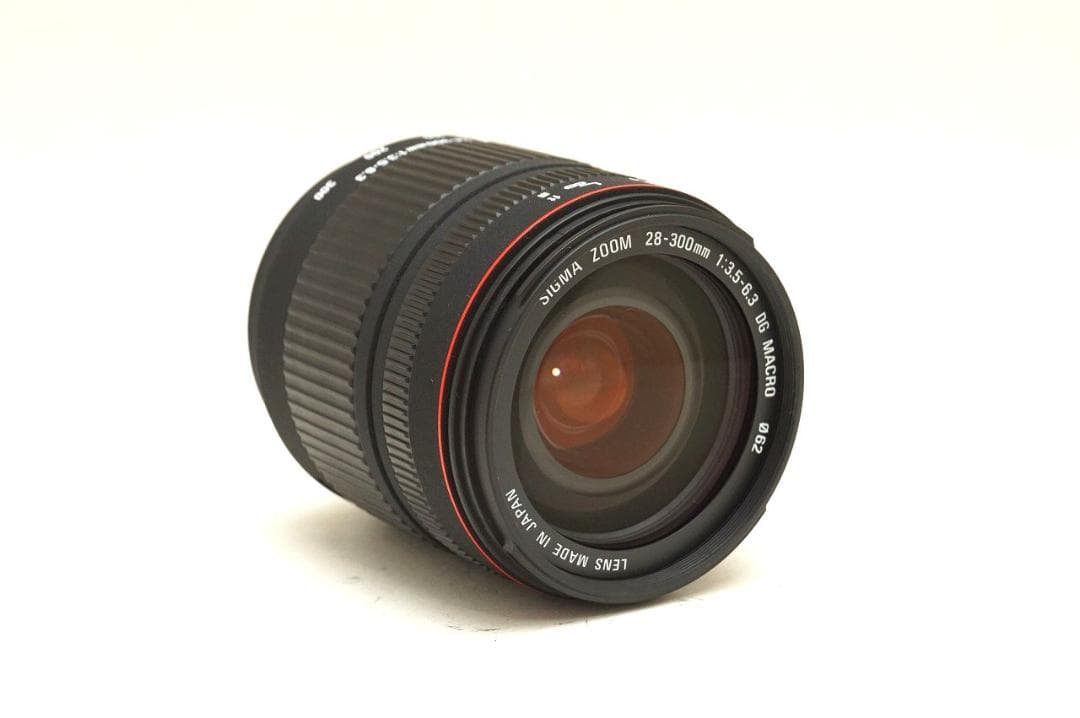 ■ソニー用　SIGMA 28-300mm F3.5-6.3 DG MACRO