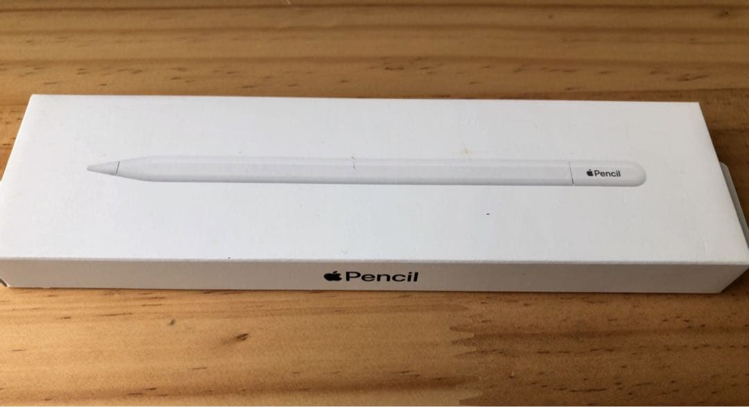 Apple Pencil（USB-C）アップル純正 Buy Apple Pencil (USB-C) - Apple