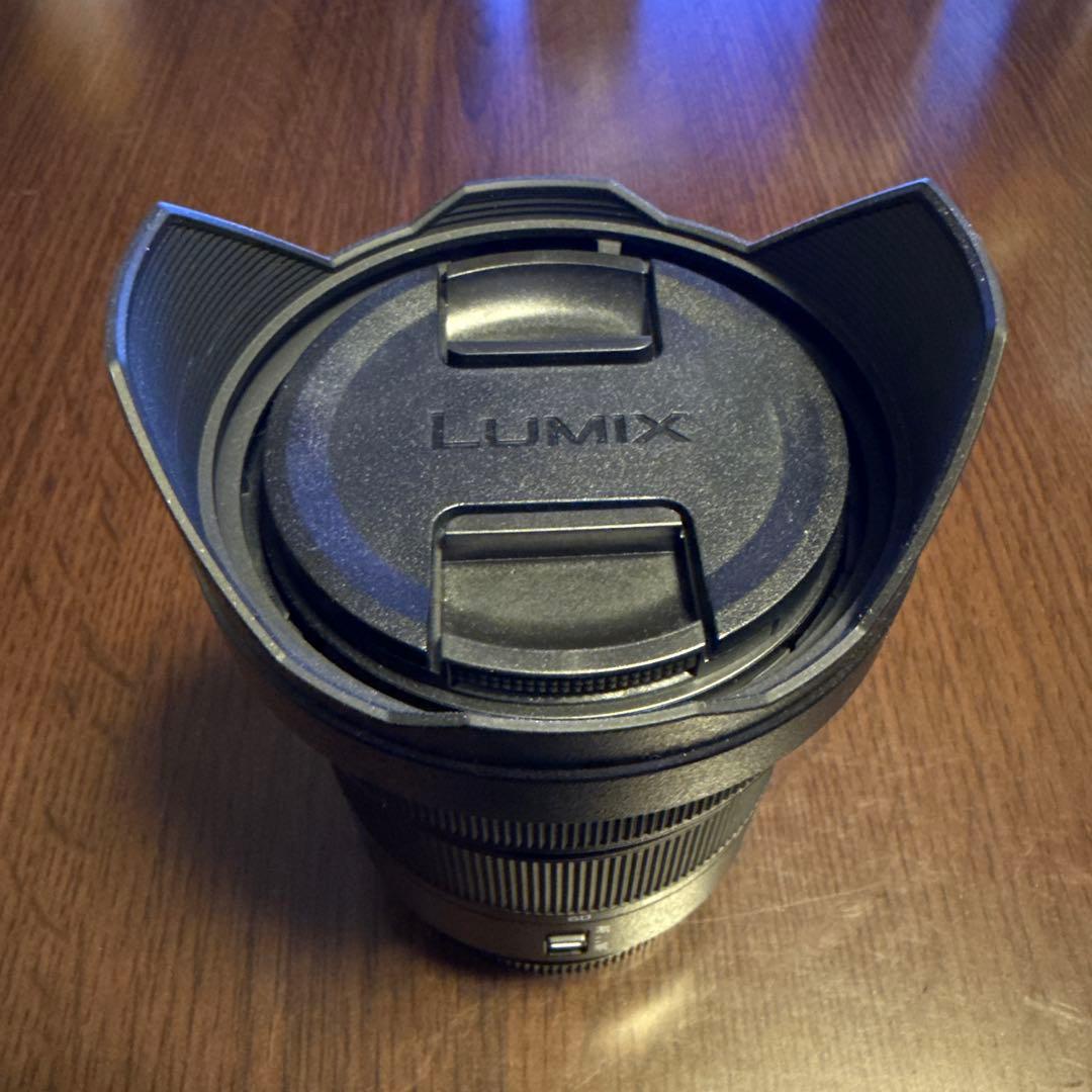 美品 LUMIX S 20-60mm F3.5-5.6