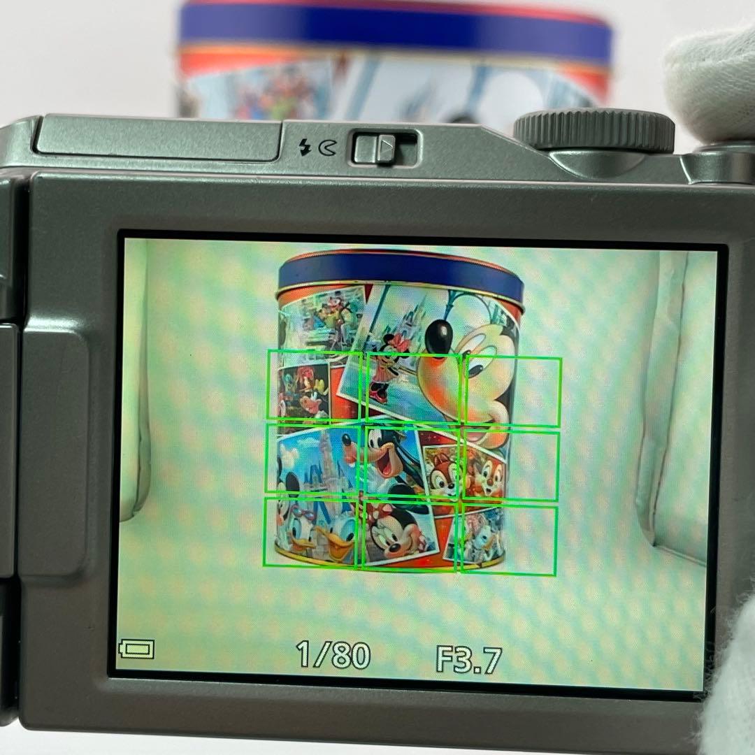 実写良⭕️外観美【動作確認済】Nikon COOLPIX S9900 デジカメ