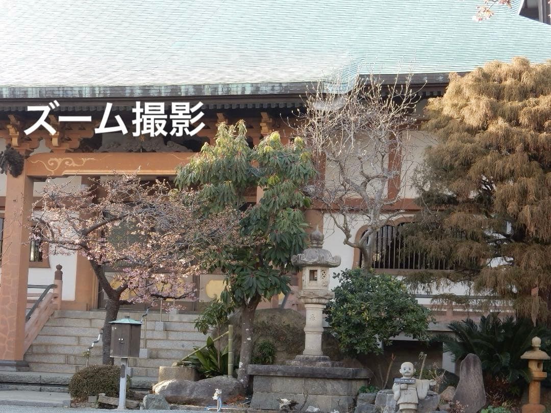 実写良⭕️外観美【動作確認済】Nikon COOLPIX S9900 デジカメ