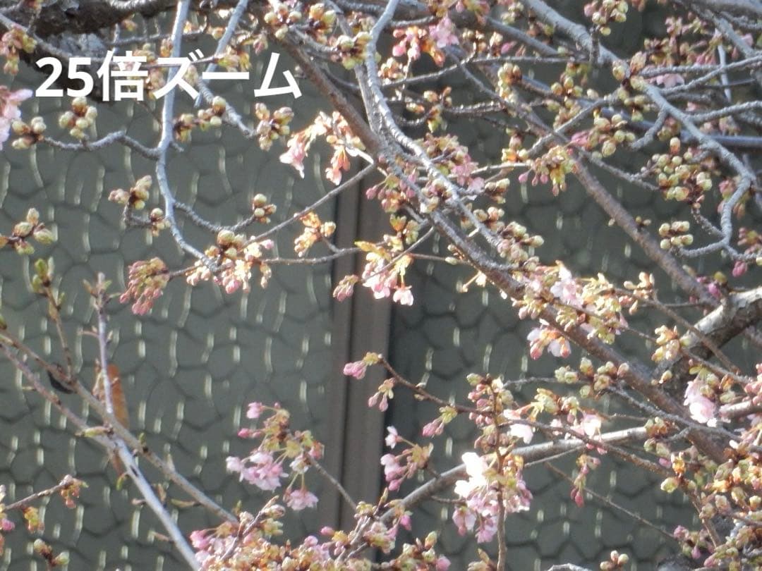 実写良⭕️外観美【動作確認済】Nikon COOLPIX S9900 デジカメ