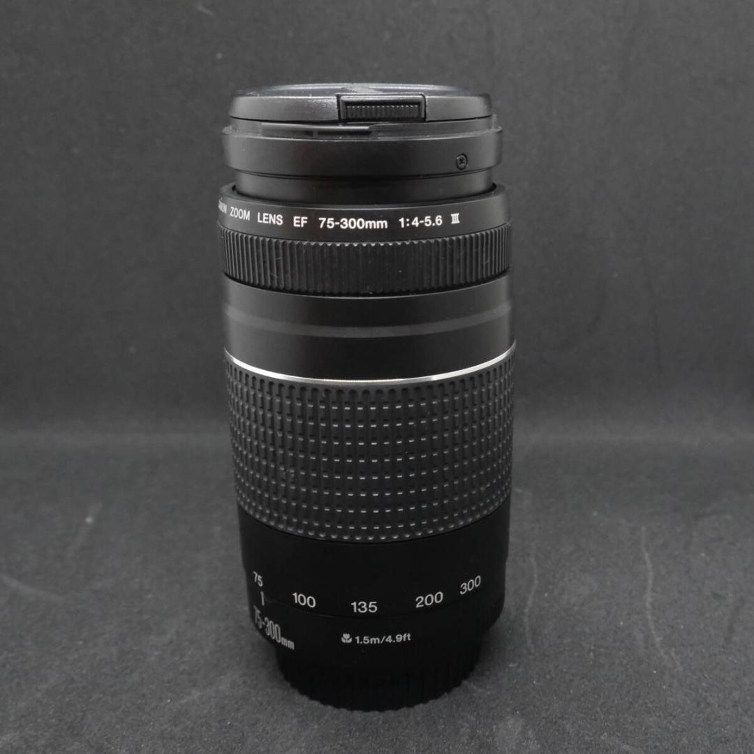 micchan✩.*˚ Canon 　75-300mm 1:4-5.6 Ⅱ