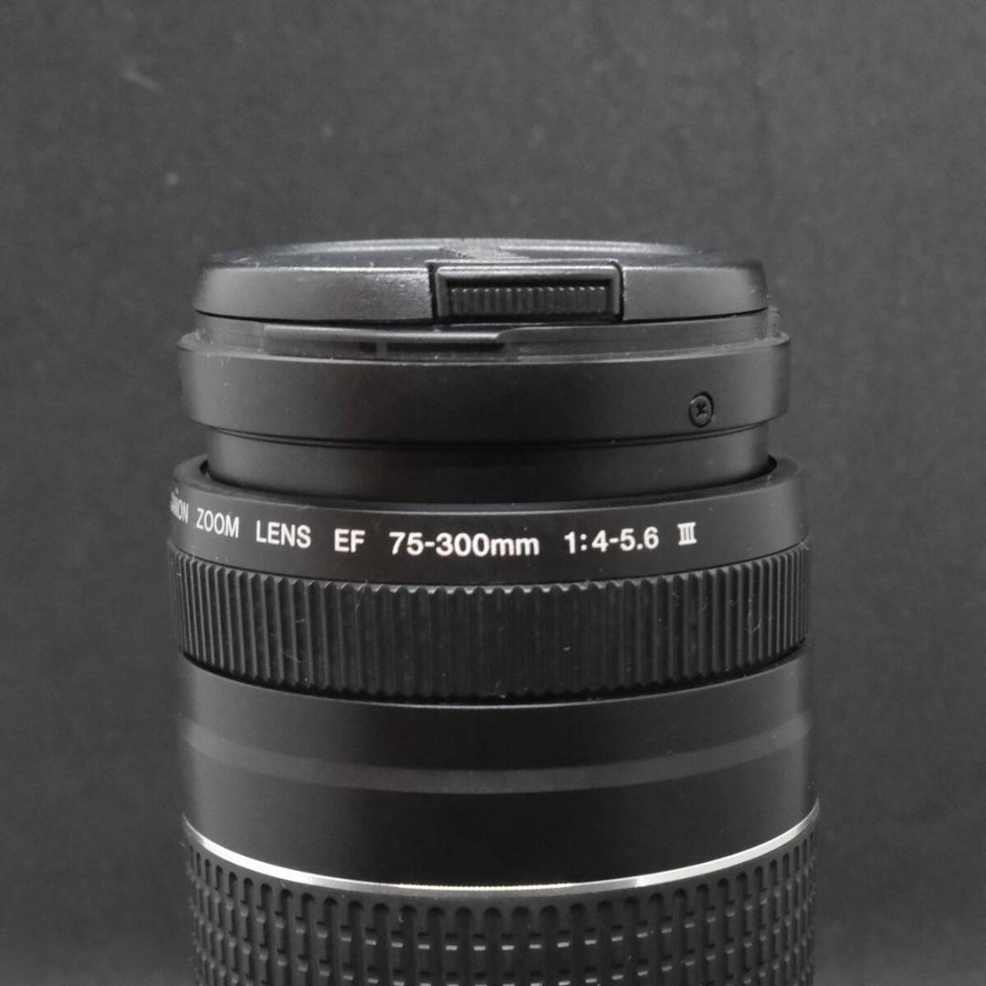 micchan✩.*˚ Canon 　75-300mm 1:4-5.6 Ⅱ