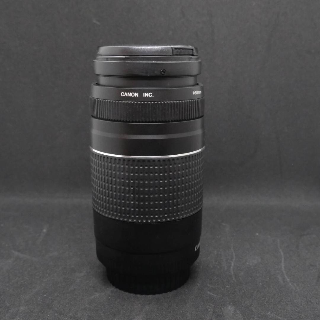 micchan✩.*˚ Canon 　75-300mm 1:4-5.6 Ⅱ