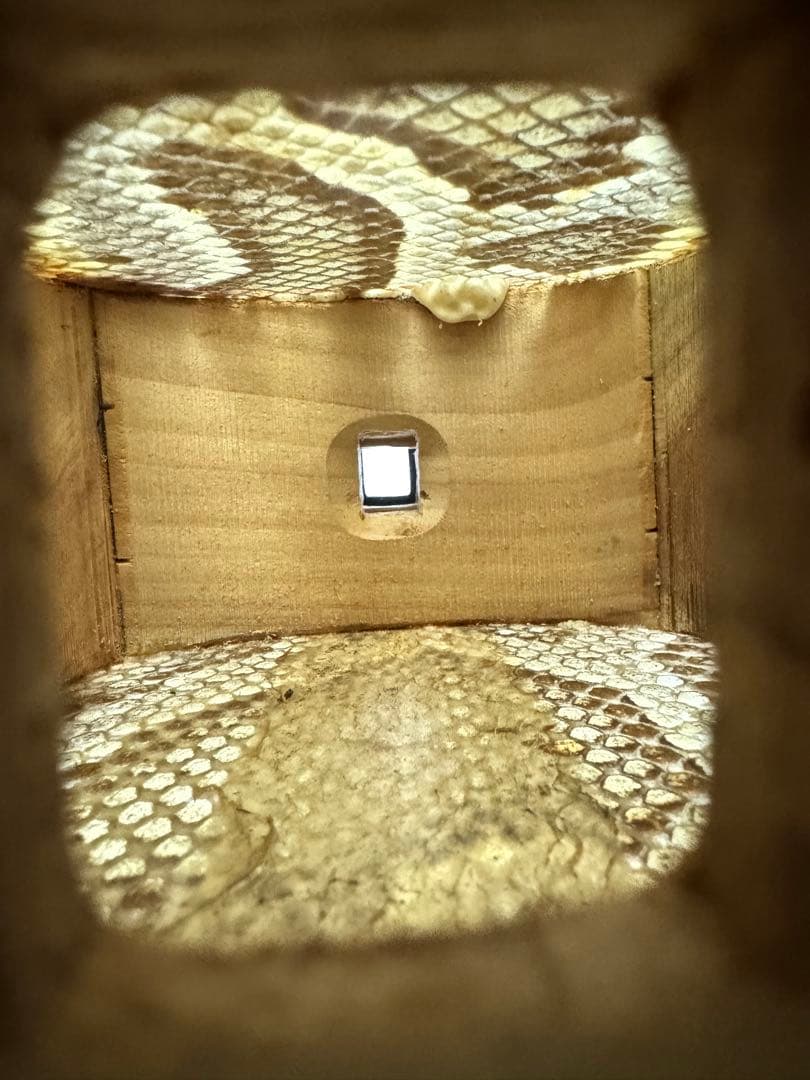 三線 又吉真也 南風原型 ハードケース付 - メルカリ