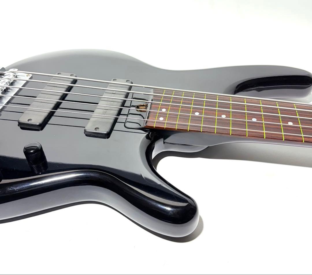 希少】HEARTFIELD DR-5 カスタム 5弦ベース フレットレス仕様 - メルカリ