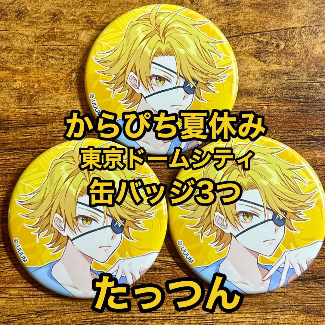 カラフルピーチ たっつん からぴち夏休み 東京ドームシティ 缶バッジ3
