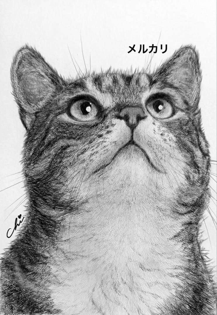 猫❤️ネコ ねこ 原画 鉛筆画 絵画 手描き イラスト Lサイズ