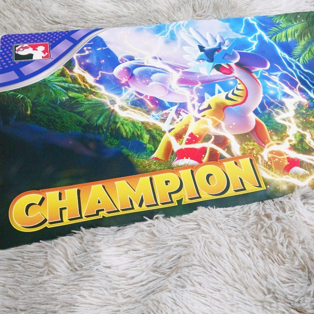❤海外限定❤ポケモン タケルライコ✨チャンピオン プレイマット 2024