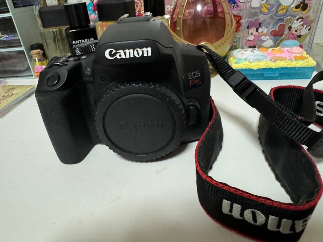 Canon EOS Kiss X10i + 28-80mm ズームレンズ レンタル] CANON EOS Kiss X10iとシグマの超望遠ズームレンズ(150